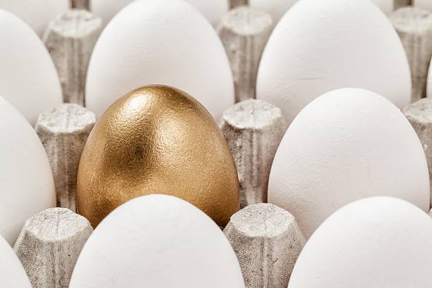 istock golden egg concept among white eggs in carton pack 502254360