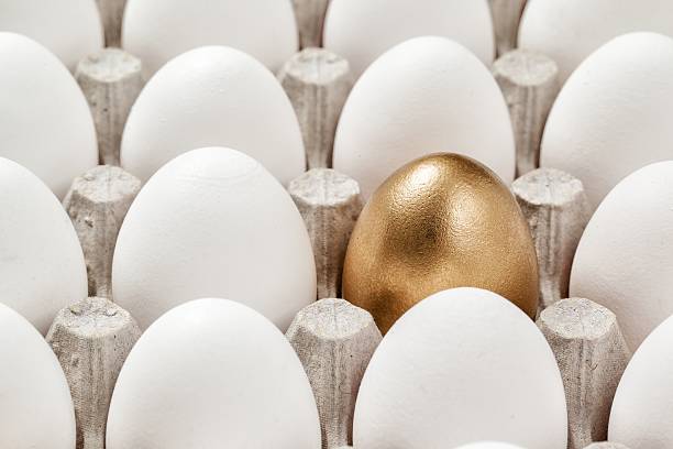 istock golden egg concept among white eggs in carton pack 502254408