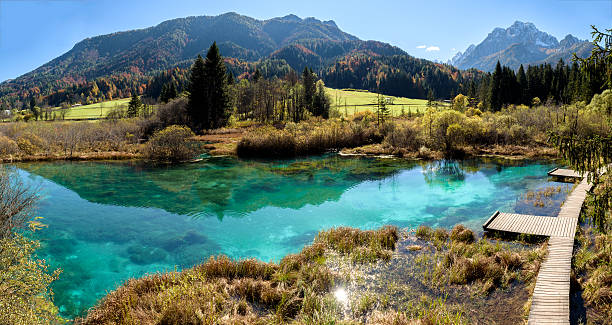 istock Zelenci lake in Slovenia. 502254848