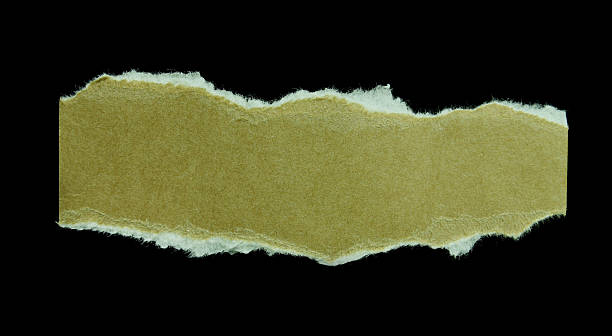 istock Piece of torn paper 502255042