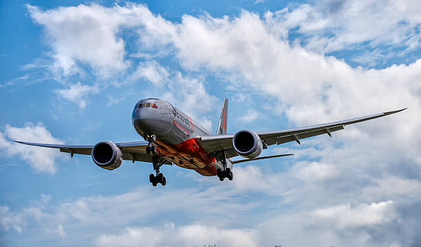 보잉 787 dreamliner - boeing 787 air vehicle travel business travel 뉴스 사진 이미지