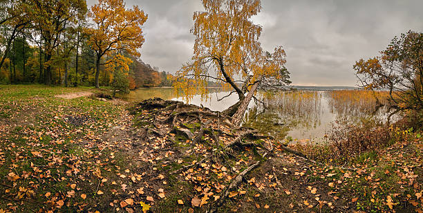 istock Fall colours, Octover cloudy day. Autumn panorama 502261368