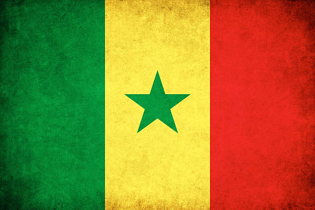 ilustrações, clipart, desenhos animados e ícones de senegal bandeira do grunge ilustração de país africano - senegal flag dirty africa