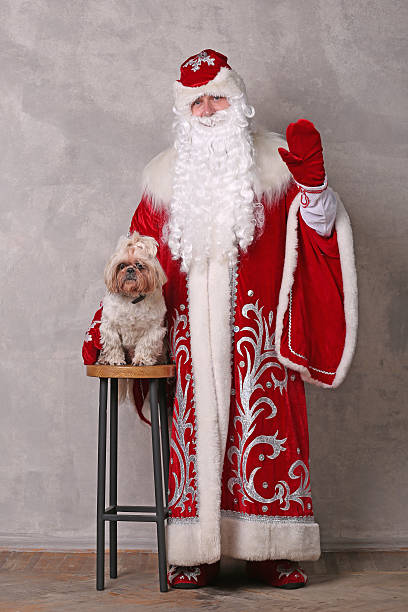 istock Father Frost (Santa Claus) with little dog 502263358