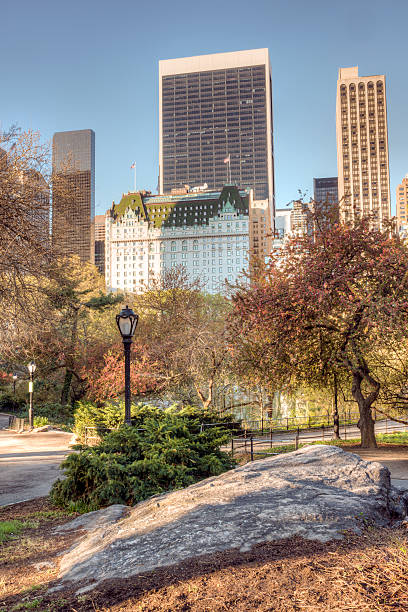 istock Central Park, New York City 502272945