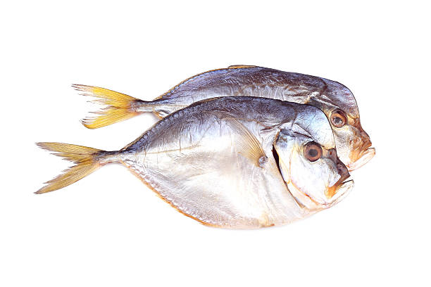 Smoked atlantic moonfish isolated on white Smoked atlantic moonfish isolated on white background opah photos stock pictures, royalty-free photos & images