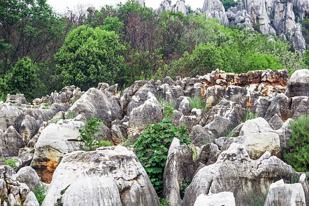 Chinese Yunnan Kunming Stone Forest Scenery