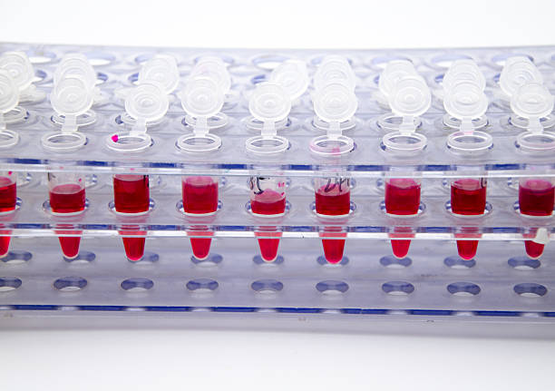 istock Blood collection tube 502273703