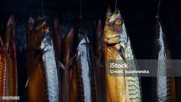 Smoked Mackerels Stock Photo - Download Image Now - Animal, Catch of Fish, Color Image