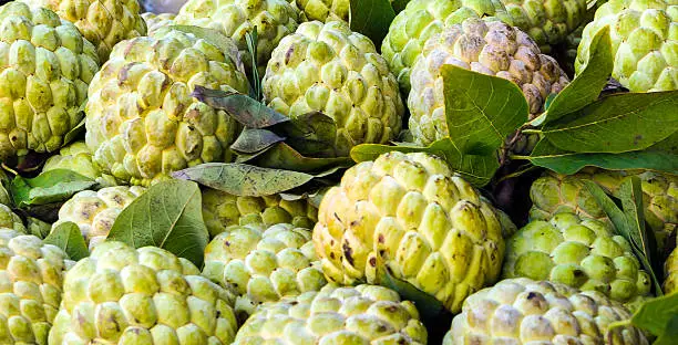  custard-apples on a counter of the fruit market