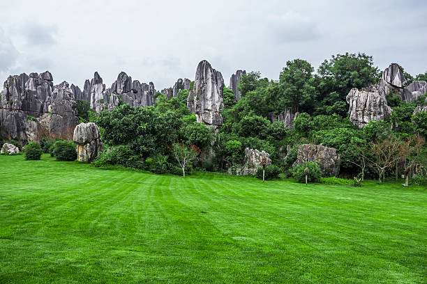 istock Chinese Yunnan Kunming Stone Forest Scenery 502279843