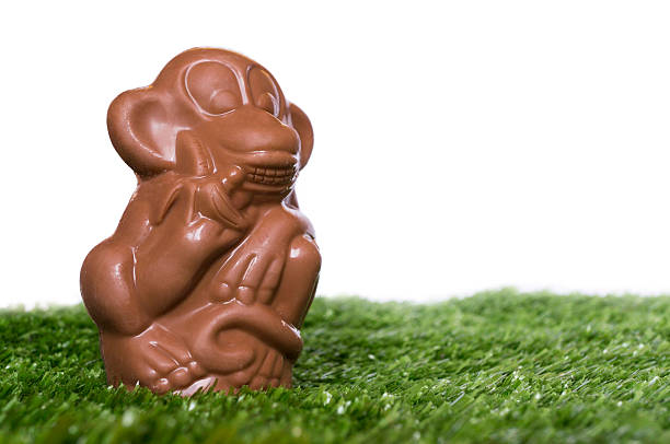 Chocolate monkey on the grass stock photo