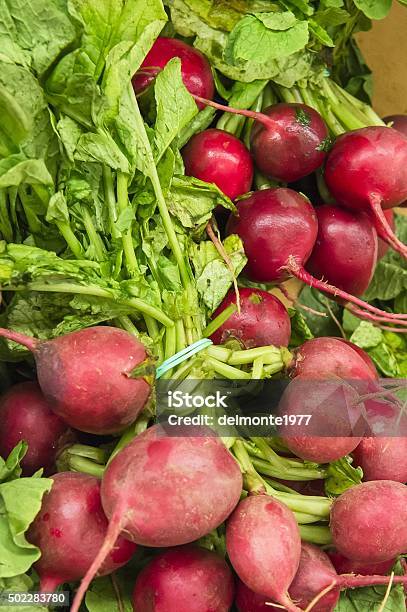 Fresh Radishes From Market Shelves Real With Flaws And Bruises Stock Photo - Download Image Now