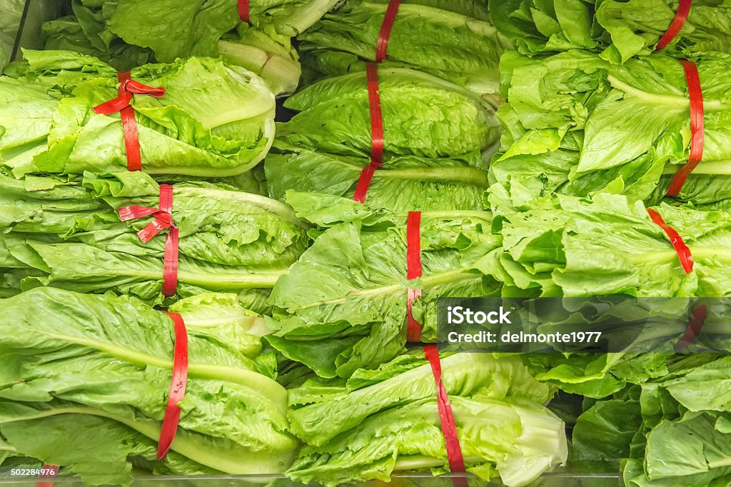 fresh green lettuce from market shelves 2015 Stock Photo