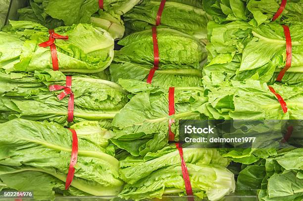 Fresh Green Lettuce From Market Shelves Stock Photo - Download Image Now - 2015, Agriculture, Condensation