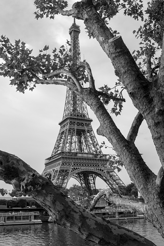 Paris, France - May 1, 2013: Tour Eiffel as seen from the Gardens of Trocadero, with some people and tour buses. In the background the Quartier Du Trocadero