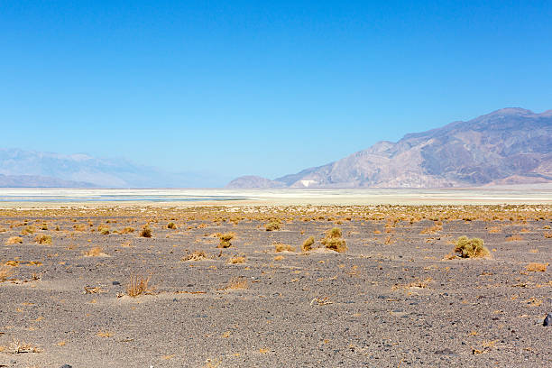 istock Death Valley National Park 502286632
