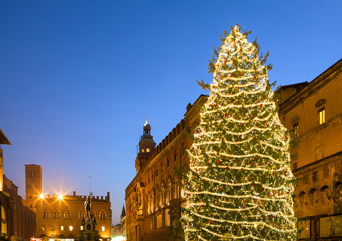 Christmas tree on Piazza del Nettuno in Bologna, Italy