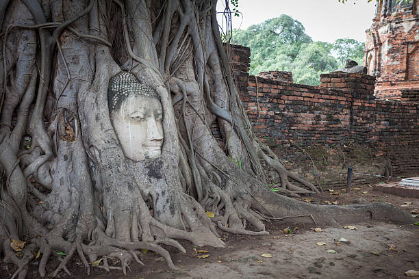 istock Buddha head in root tree at Ayutthaya Thailand. 502294070