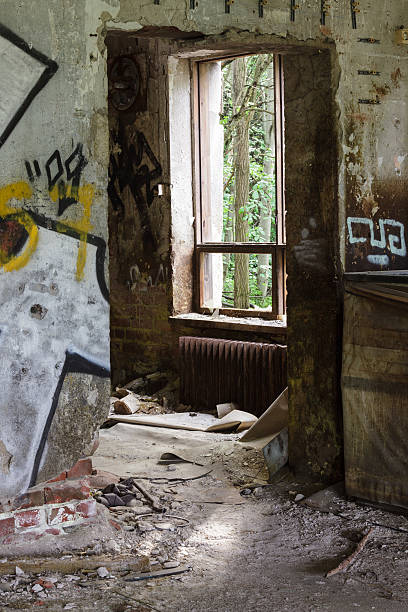 istock Doorway and window in abandoned building 502296441