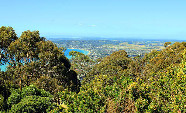 istock Lookout on a sea and forest 502296471