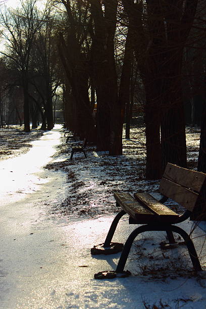 istock Avenue in Winter Park 502296559