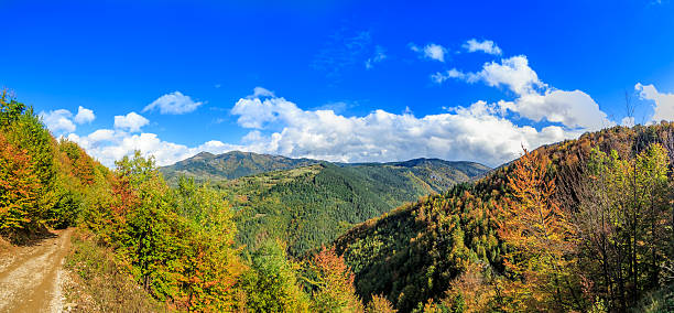 istock Forest hills in autumn 502297082
