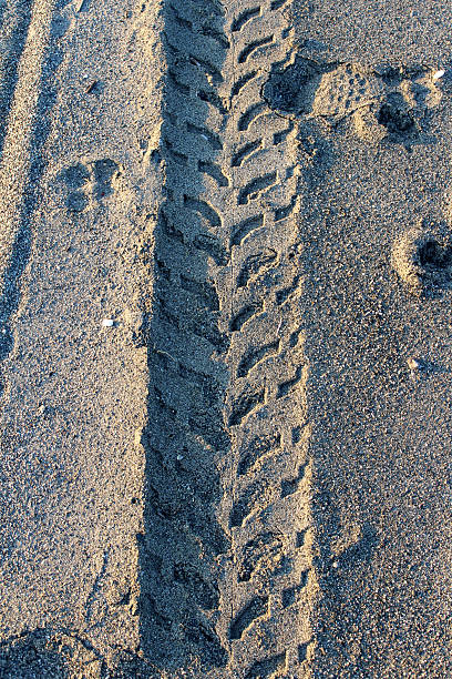 neumático de la impresión sobre la arena - sand footprint track following fotografías e imágenes de stock