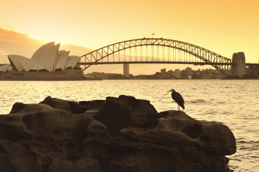 The Sydney skyline at sunset. Taken from North Rocks, Sydney, Australia. (Harbor Bridge & Sydney Opera House)