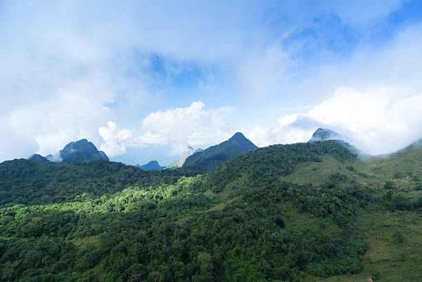 istock Doi Luang Chiang Dao Province Chiang Mai 502299074