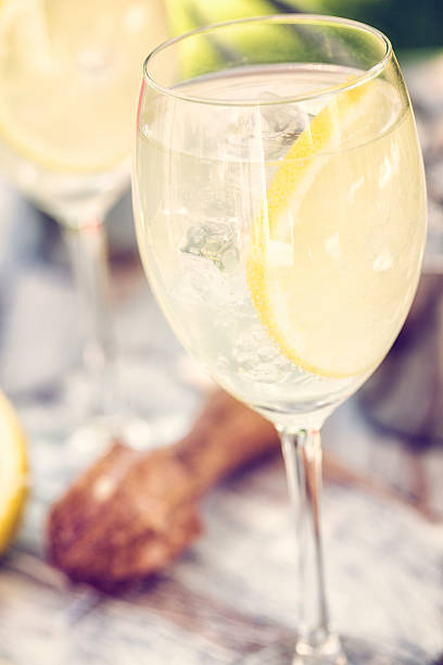Lemon Vodka Cocktail as Fresh Summer Drink