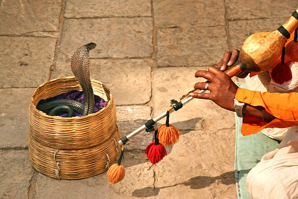 istock Snake charmer with cobra snake at Varanasi, India 502302163