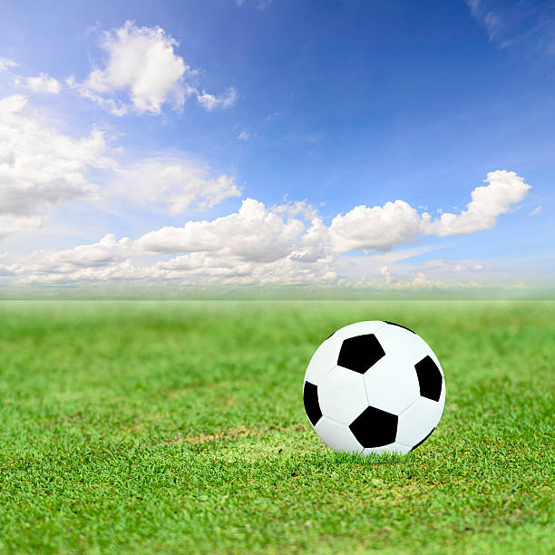 istock Ball on green field and blue sky 502302743