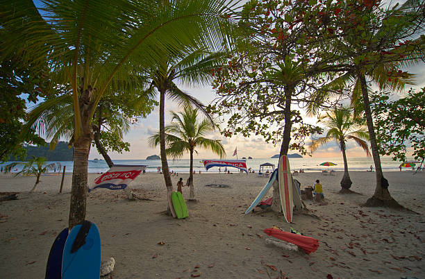 코스타리카 플라주 장면 - costa rica beach palm tree tree 뉴스 사진 이미지