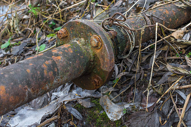 istock Rusty metal pipe in the forest closeup 502314244