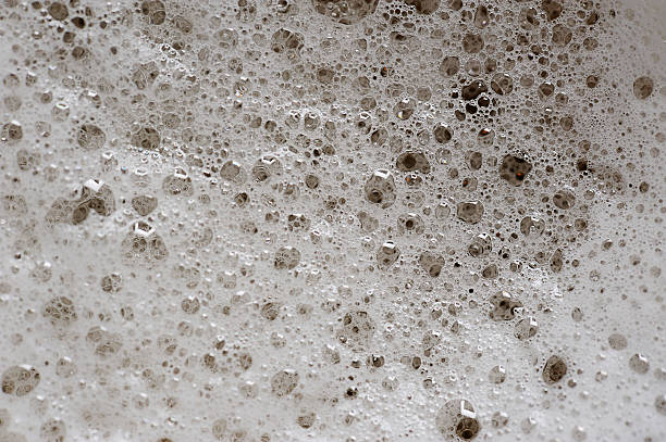 istock macro of Beer foam 502317600