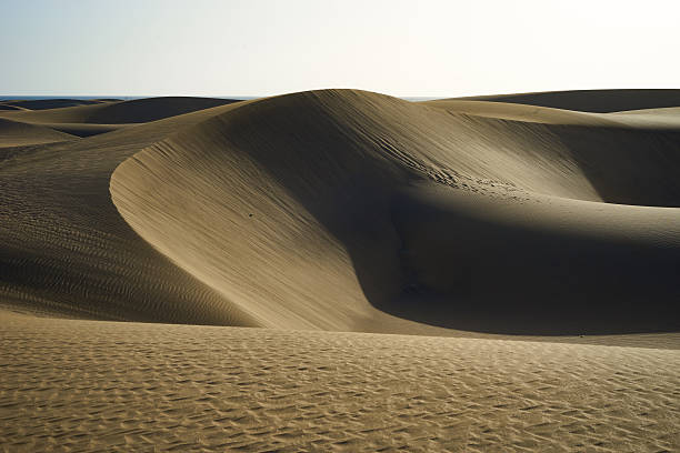 istock Sandy and wavy dunes in a desert of Gran Canaria 502317618