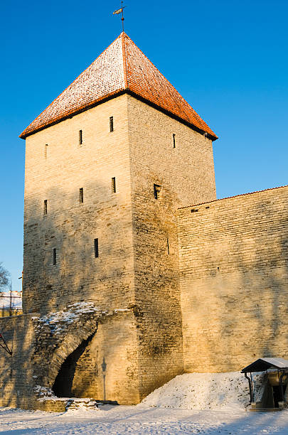 istock Winter view of the Old Tallinn 502317878