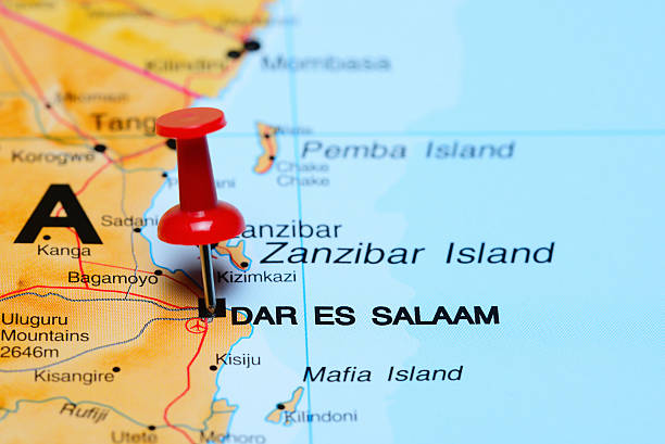 istock Dar es Salaam pinned on a map of Africa 502320870