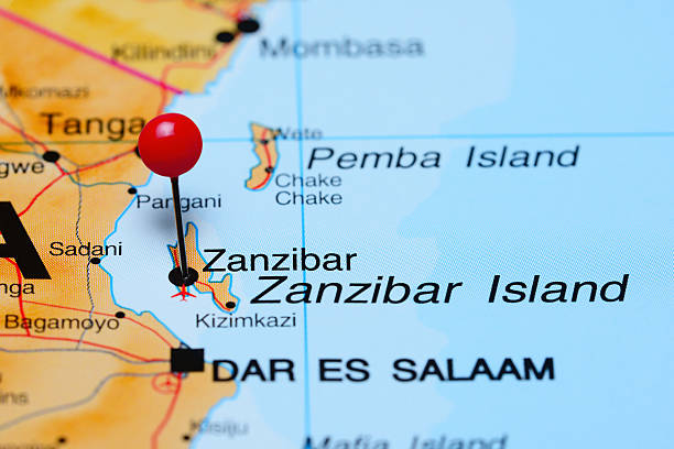 istock Zanzibar pinned on a map of Africa 502321006