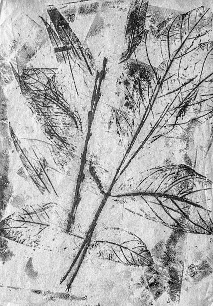istock art monochrome autumn leaves background in white, black and grey 502321834