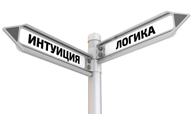 istock Intuition and logics. Road sign 502321978