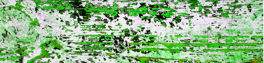 Flaking or peeling green paint on white wood as a grunge background texture - panorama / header.
