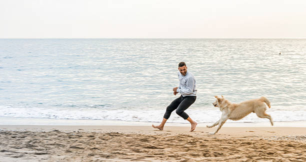 hombre y su perro en la playa corriendo - black labrador black dog retriever fotografías e imágenes de stock