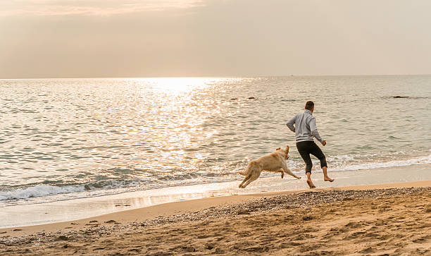 istock Man and his dog running a beach 502329500