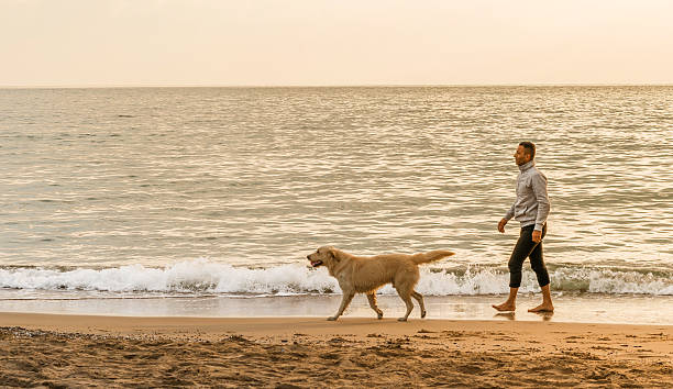 istock Man and his dog running a beach 502329684