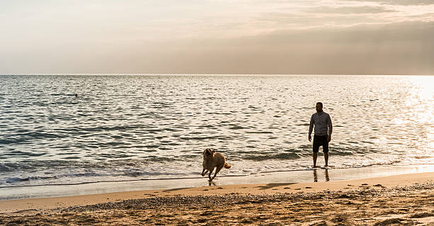 istock Man and his dog running a beach 502347582