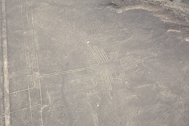 istock Hummingbirds Nazca line. 502347952