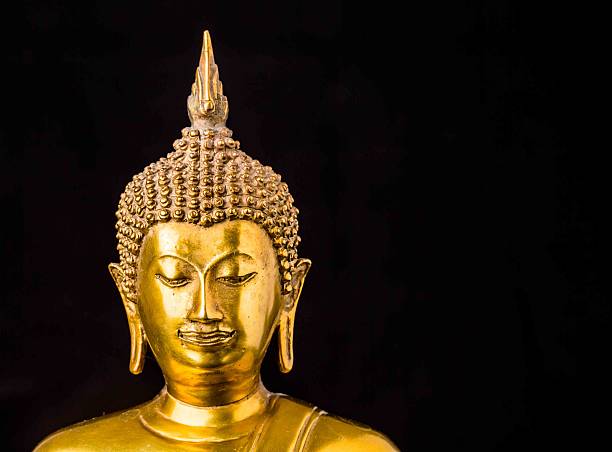 istock buddha statue isolated on black background 502350140