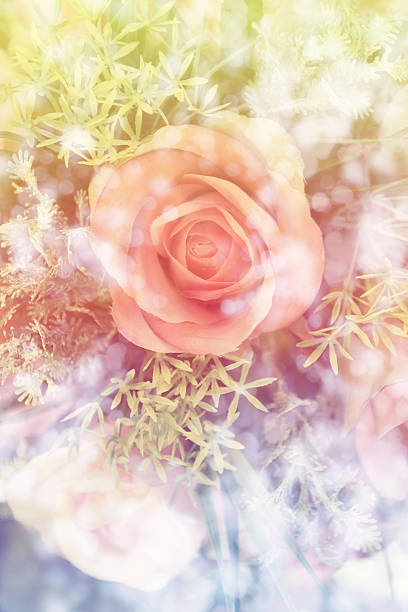 istock abstract Old plastic flowers vintage effect style pictures 502350242